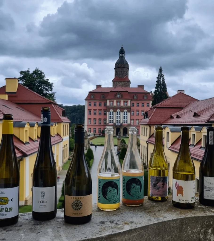 Kurs WSET – szkolenia winiarskie dla restauracji i hoteli